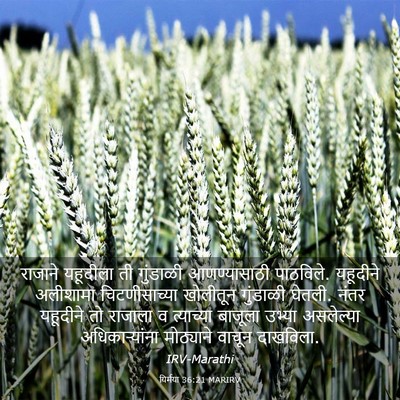 Picture 03 - यिर्मया 36:21 MARIRV - राजाने यहूदीला ती - Bible Verse Picture