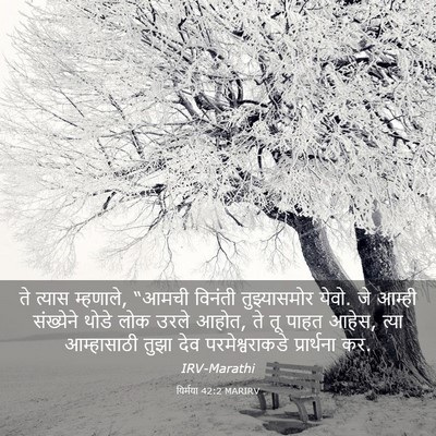 Picture 03 - यिर्मया 42:2 MARIRV - ते त्यास म्हणाले, - Bible Verse Picture
