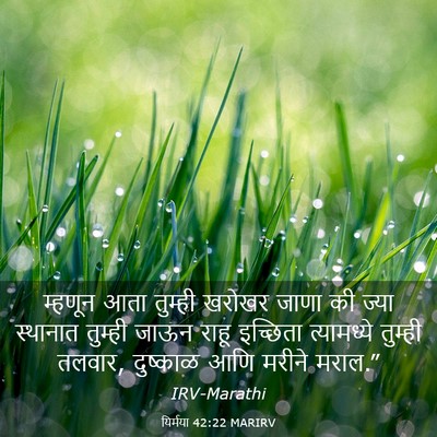 Picture 03 - यिर्मया 42:22 MARIRV - म्हणून आता तुम्ही - Bible Verse Picture