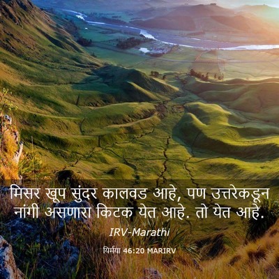 Picture 03 - यिर्मया 46:20 MARIRV - मिसर खूप सुंदर - Bible Verse Picture