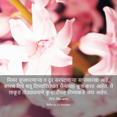 Picture 03 - यिर्मया 46:22 MARIRV - मिसर - Bible Verse Picture