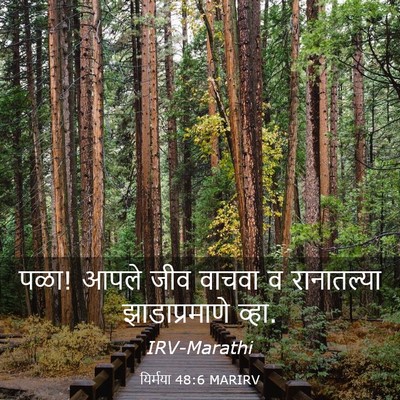 Picture 03 - यिर्मया 48:6 MARIRV - पळा! आपले जीव वाचवा - Bible Verse Picture