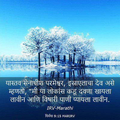Picture 03 - यिर्मया 9:15 MARIRV - यास्तव सेनाधीश - Bible Verse Picture