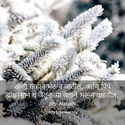 Picture 03 - योएल 2:24 MARIRV - खळी गव्हाने भरून - Bible Verse Picture