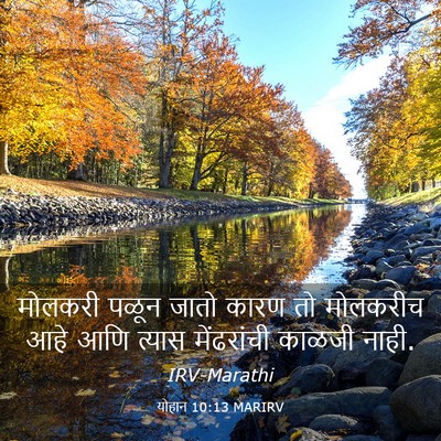 Picture 03 - योहान 10:13 MARIRV - मोलकरी पळून जातो - Bible Verse Picture
