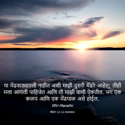 Picture 03 - योहान 10:16 MARIRV - या मेंढवाड्यातली - Bible Verse Picture