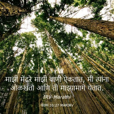 Picture 03 - योहान 10:27 MARIRV - माझी मेंढरे माझी - Bible Verse Picture