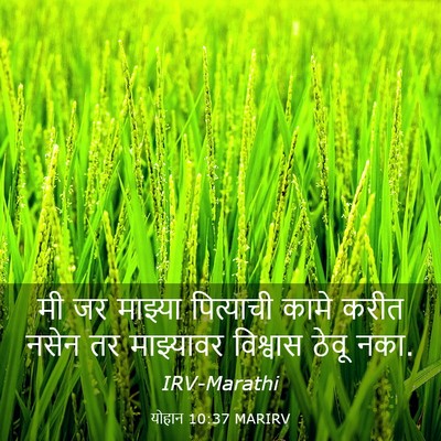 Picture 03 - योहान 10:37 MARIRV - मी जर माझ्या - Bible Verse Picture