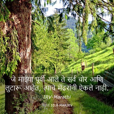 Picture 03 - योहान 10:8 MARIRV - जे माझ्या पूर्वी - Bible Verse Picture