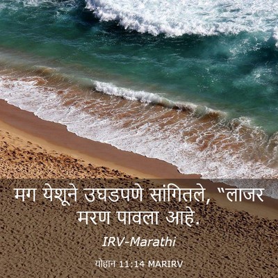 Picture 03 - योहान 11:14 MARIRV - मग येशूने उघडपणे - Bible Verse Picture