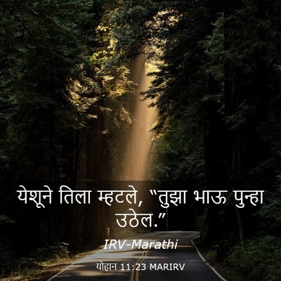 Picture 03 - योहान 11:23 MARIRV - येशूने तिला - Bible Verse Picture