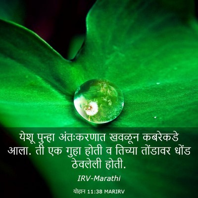 Picture 03 - योहान 11:38 MARIRV - येशू पुन्हा - Bible Verse Picture