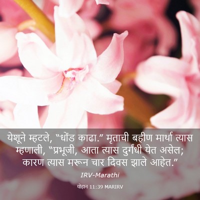 Picture 03 - योहान 11:39 MARIRV - येशूने म्हटले, - Bible Verse Picture