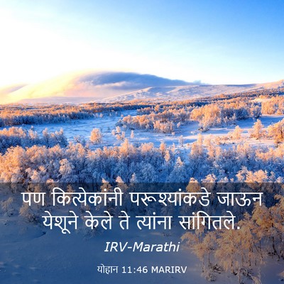 Picture 03 - योहान 11:46 MARIRV - पण कित्येकांनी - Bible Verse Picture