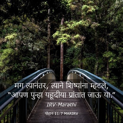 Picture 03 - योहान 11:7 MARIRV - मग त्यानंतर, - Bible Verse Picture