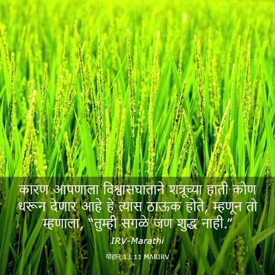 Picture 03 - योहान 13:11 MARIRV - कारण आपणाला - Bible Verse Picture
