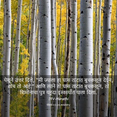 Picture 03 - योहान 13:26 MARIRV - येशूने उत्तर दिले, - Bible Verse Picture
