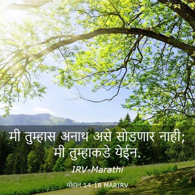Picture 03 - योहान 14:18 MARIRV - मी तुम्हास अनाथ - Bible Verse Picture