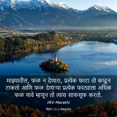 Picture 03 - योहान 15:2 MARIRV - माझ्यातील, फळ न - Bible Verse Picture