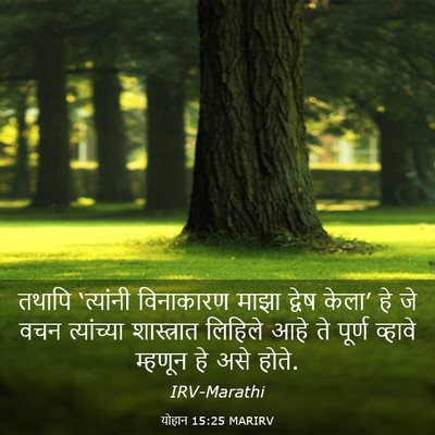 Picture 03 - योहान 15:25 MARIRV - तथापि ‘त्यांनी - Bible Verse Picture