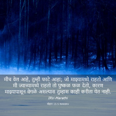 Picture 03 - योहान 15:5 MARIRV - मीच वेल आहे, तुम्ही - Bible Verse Picture
