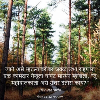 Picture 03 - योहान 18:22 MARIRV - त्याने असे - Bible Verse Picture