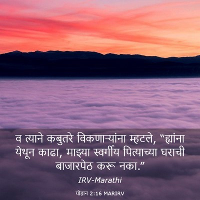 Picture 03 - योहान 2:16 MARIRV - व त्याने कबुतरे - Bible Verse Picture