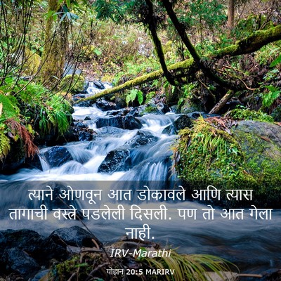 Picture 03 - योहान 20:5 MARIRV - त्याने ओणवून आत - Bible Verse Picture