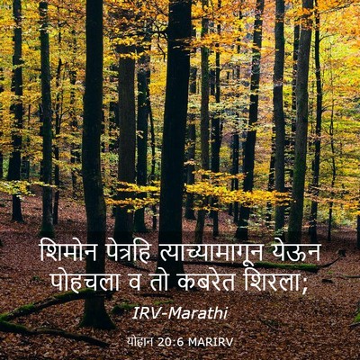 Picture 03 - योहान 20:6 MARIRV - शिमोन पेत्रहि - Bible Verse Picture