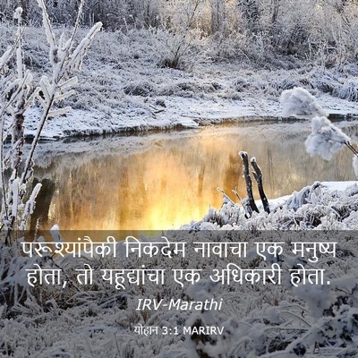 Picture 03 - योहान 3:1 MARIRV - परूश्यांपैकी - Bible Verse Picture
