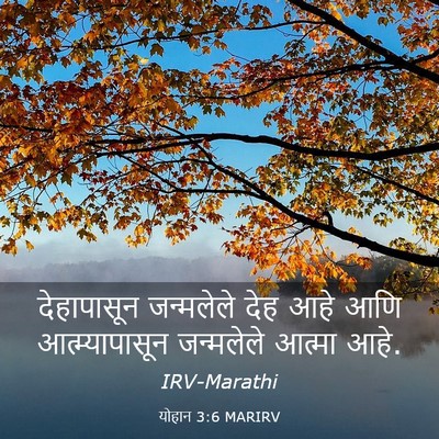 Picture 03 - योहान 3:6 MARIRV - देहापासून - Bible Verse Picture