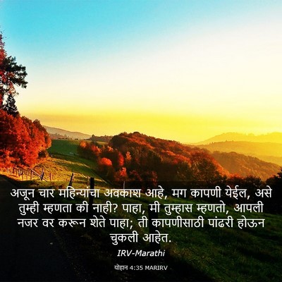 Picture 03 - योहान 4:35 MARIRV - अजून चार - Bible Verse Picture
