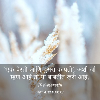 Picture 03 - योहान 4:37 MARIRV - ‘एक पेरतो आणि - Bible Verse Picture