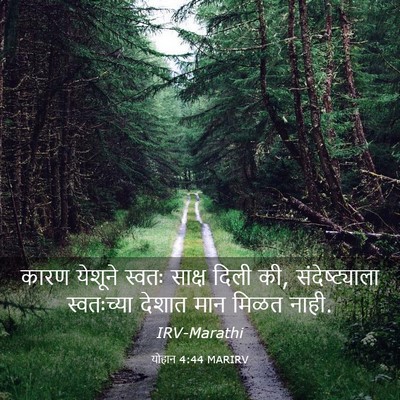 Picture 03 - योहान 4:44 MARIRV - कारण येशूने स्वतः - Bible Verse Picture
