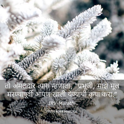 Picture 03 - योहान 4:49 MARIRV - तो अंमलदार त्यास - Bible Verse Picture