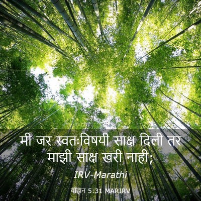 Picture 03 - योहान 5:31 MARIRV - मी जर स्वतःविषयी - Bible Verse Picture