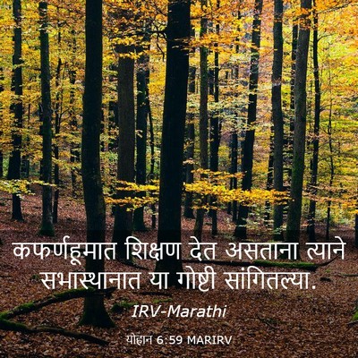 Picture 03 - योहान 6:59 MARIRV - कफर्णहूमात शिक्षण - Bible Verse Picture