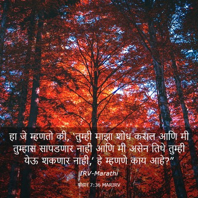 Picture 03 - योहान 7:36 MARIRV - हा जे म्हणतो की, - Bible Verse Picture