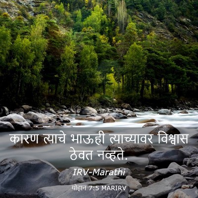 Picture 03 - योहान 7:5 MARIRV - कारण त्याचे भाऊही - Bible Verse Picture