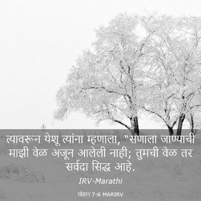 Picture 03 - योहान 7:6 MARIRV - त्यावरून येशू - Bible Verse Picture