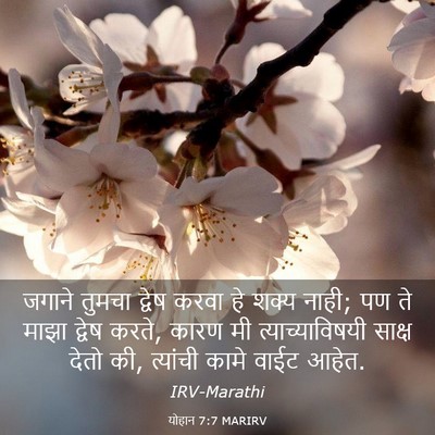 Picture 03 - योहान 7:7 MARIRV - जगाने तुमचा द्वेष - Bible Verse Picture