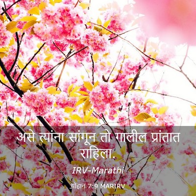 Picture 03 - योहान 7:9 MARIRV - असे त्यांना - Bible Verse Picture