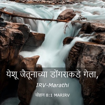 Picture 03 - योहान 8:1 MARIRV - येशू जैतूनाच्या - Bible Verse Picture