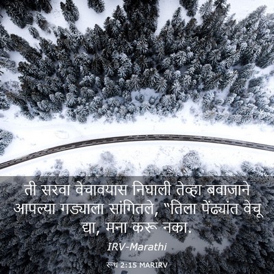 Picture 03 - रूथ 2:15 MARIRV - ती सरवा वेचावयास - Bible Verse Picture