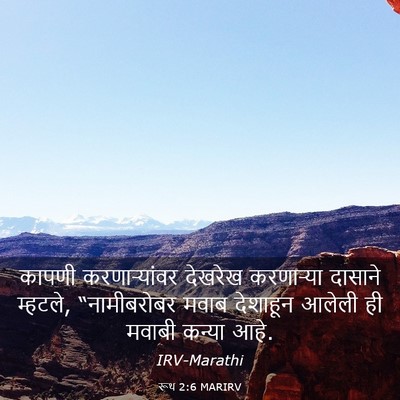 Picture 03 - रूथ 2:6 MARIRV - कापणी करणाऱ्यांवर - Bible Verse Picture