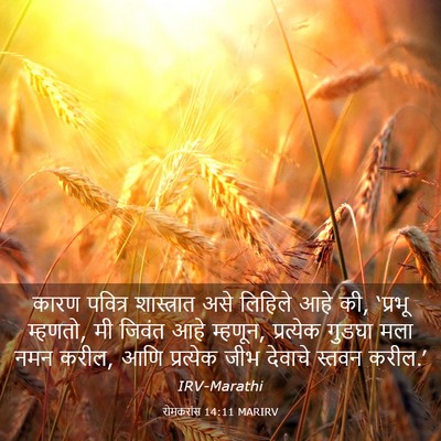 Picture 03 - रोमकरांस 14:11 MARIRV - कारण पवित्र - Bible Verse Picture