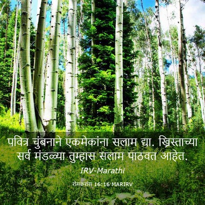 Picture 03 - रोमकरांस 16:16 MARIRV - पवित्र चुंबनाने - Bible Verse Picture