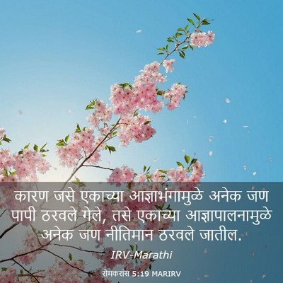 Picture 03 - रोमकरांस 5:19 MARIRV - कारण जसे एकाच्या - Bible Verse Picture