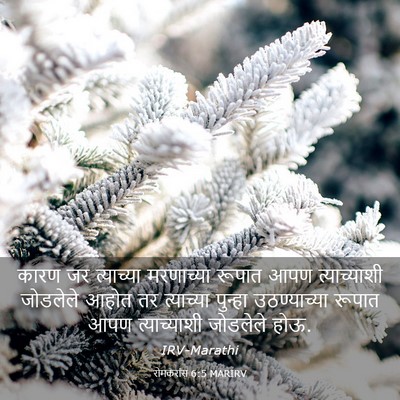 Picture 03 - रोमकरांस 6:5 MARIRV - कारण जर त्याच्या - Bible Verse Picture