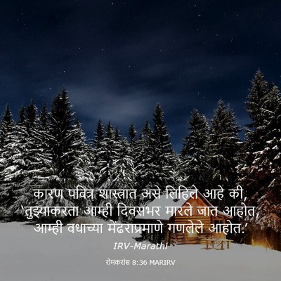 Picture 03 - रोमकरांस 8:36 MARIRV - कारण पवित्र - Bible Verse Picture